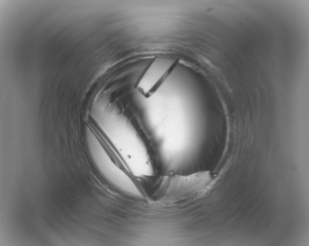 X0000063521449200602172201