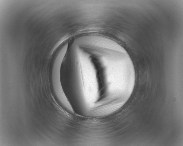 X0000063521450200602172201