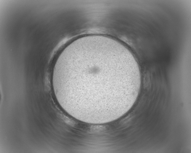 X0000063521454200602172201