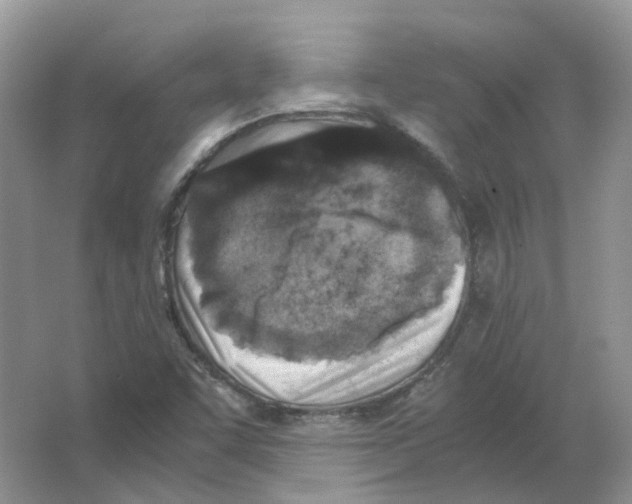 X0000063521455200602172201