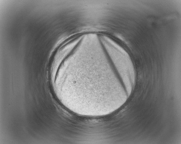 X0000063521459200602172201