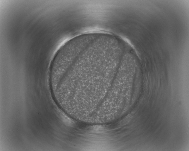 X0000063521463200602172201