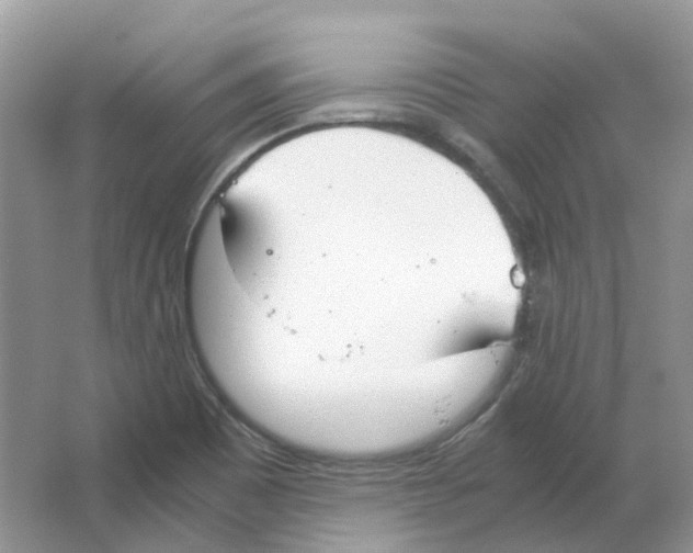 X0000063521465200602172201