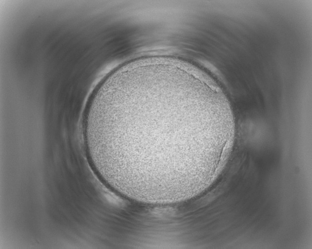 X0000063521466200602172201