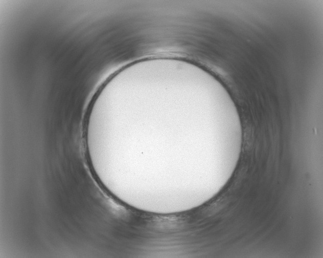 X0000063521470200602172200