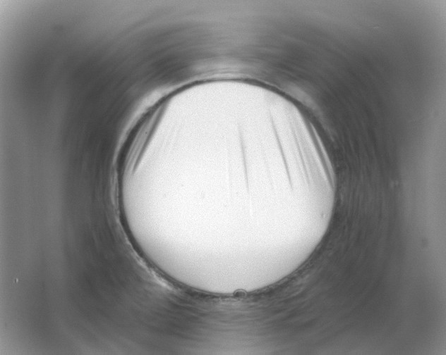 X0000063521472200602172200