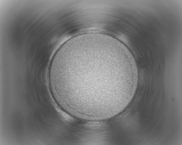 X0000063521474200602172200