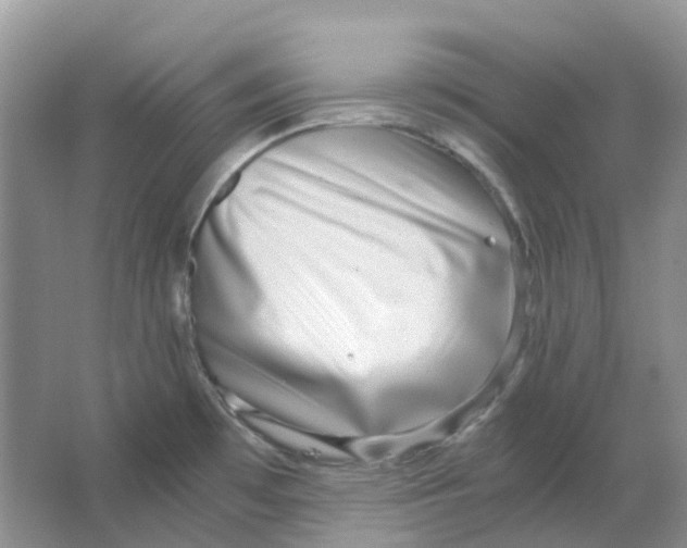 X0000063521481200602172200