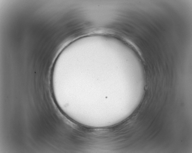 X0000063521483200602172200