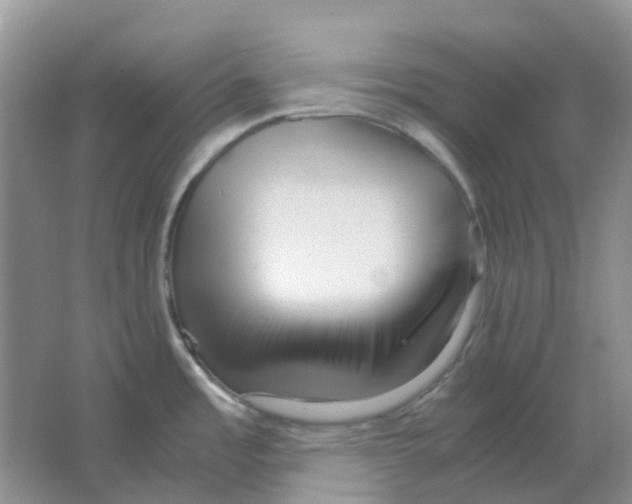 X0000063521485200602172200