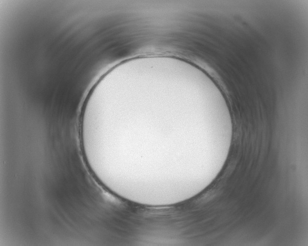 X0000063521486200602172200