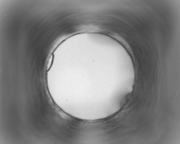 X0000063521488200602172200