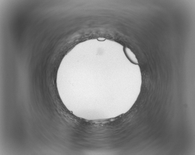 X0000063521489200602172159