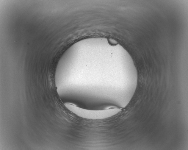 X0000063521490200602172159