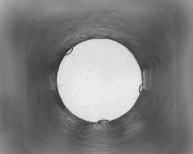 X0000063521491200602172159