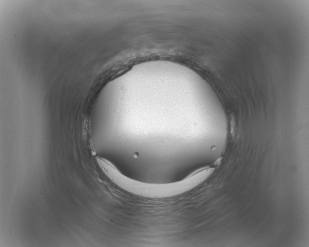 X0000063521492200602172159