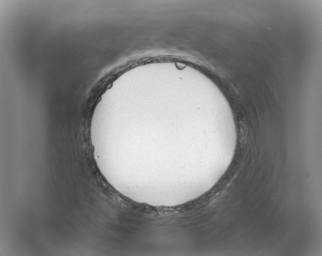 X0000063521494200602172159