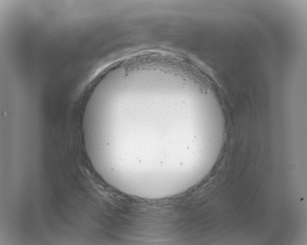 X0000063521496200602172159