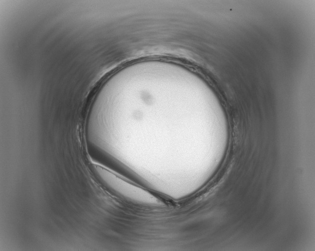 X0000063521497200602172159