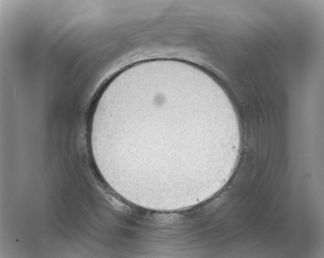 X0000063521498200602172159