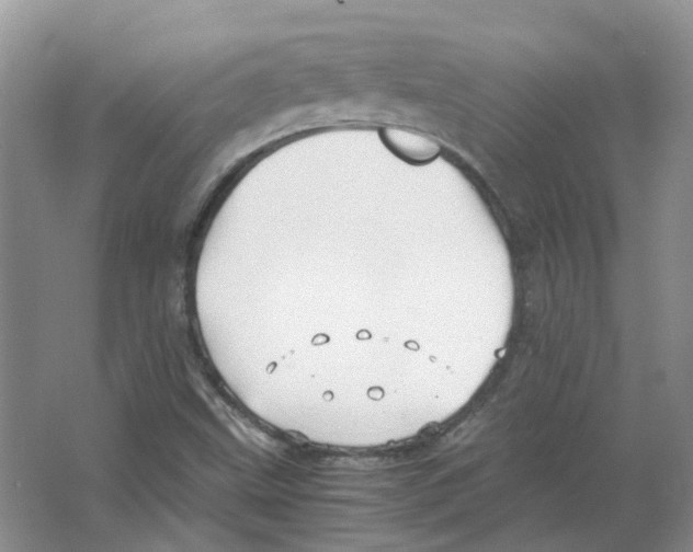 X0000063521499200602172159