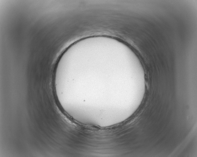 X0000063521500200602172159