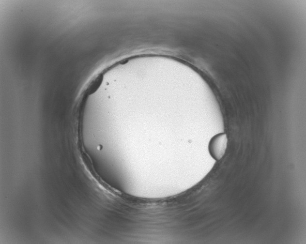 X0000063521504200602172159