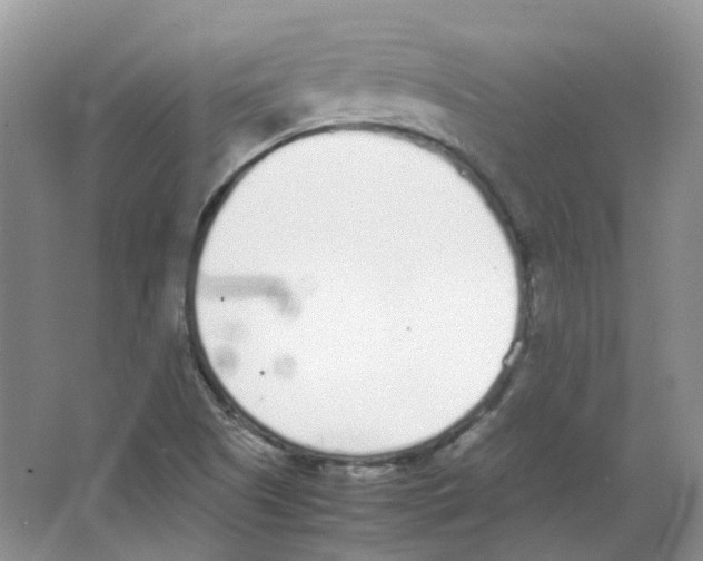 X0000063521505200602172159