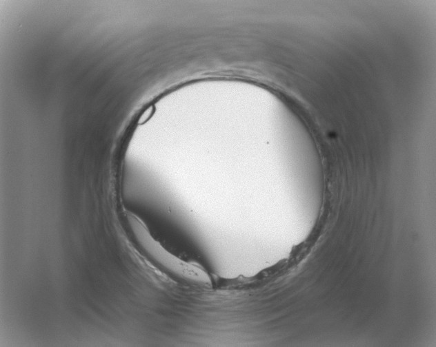 X0000063521506200602172159