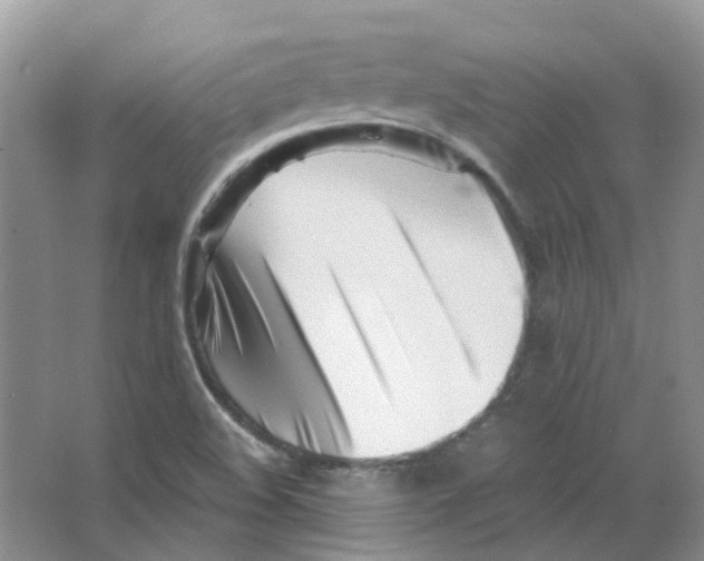 X0000063521508200602172200