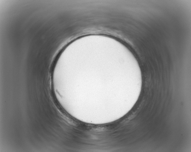 X0000063521509200602172200