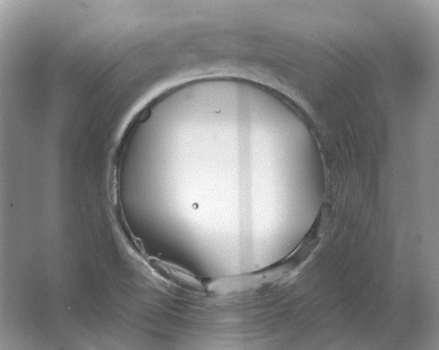 X0000063521510200602172200