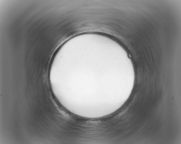 X0000063521513200602172200