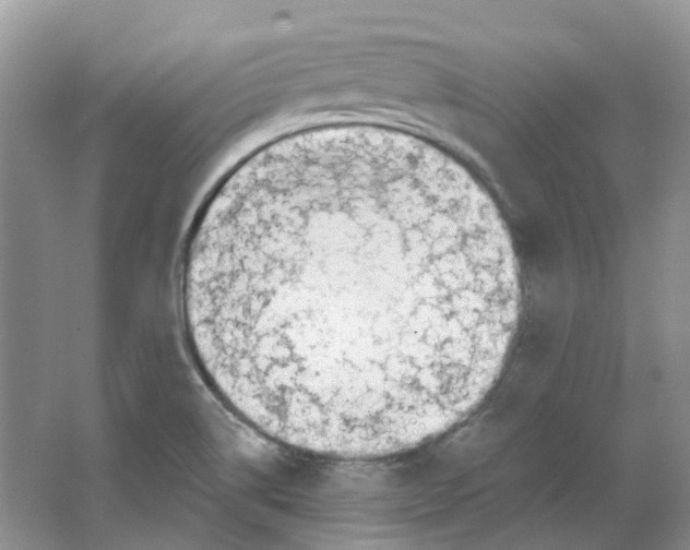 X0000063521514200602172200