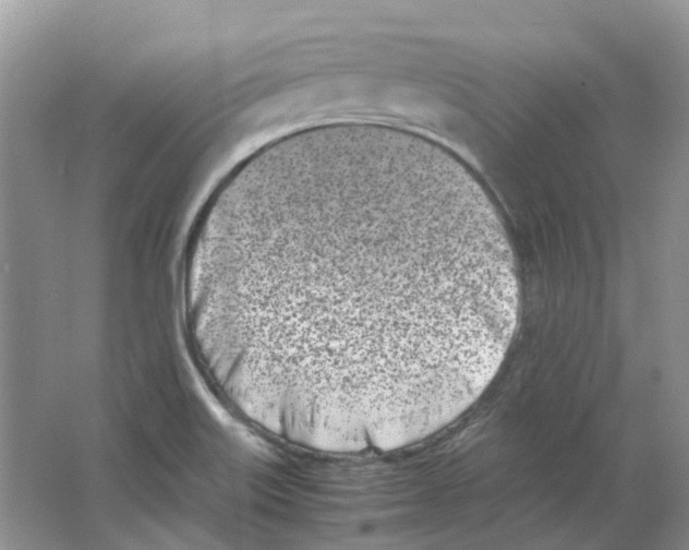 X0000063521515200602172200