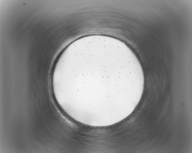 X0000063521517200602172200