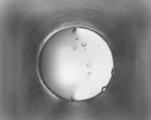 X0000063521518200602172200