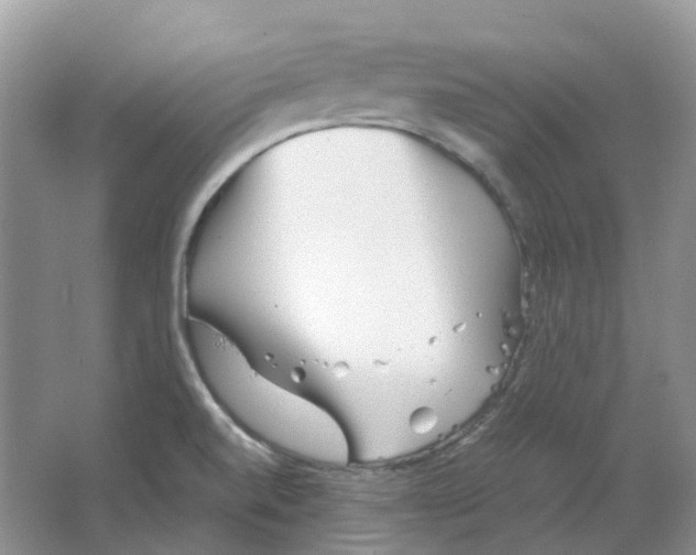 X0000063521520200602172200