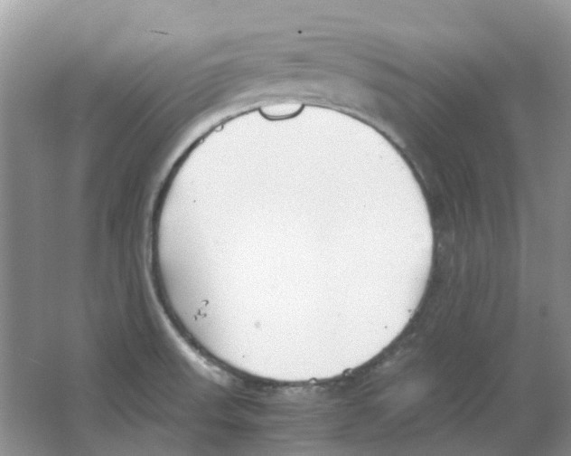 X0000063521523200602172200