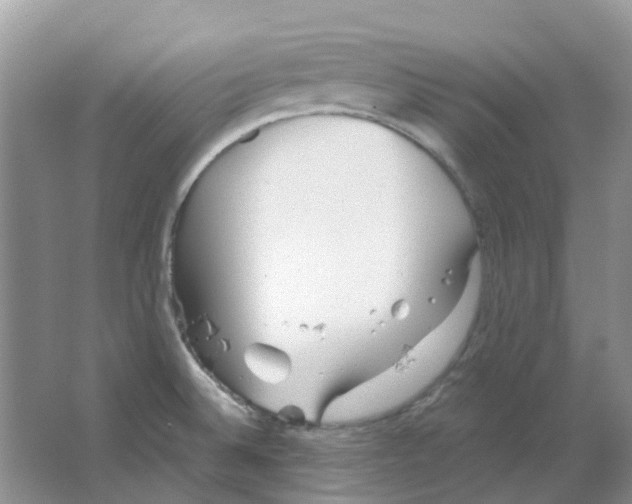 X0000063521524200602172200