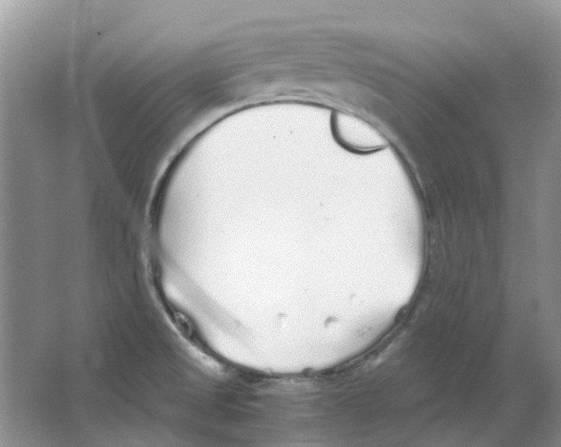 X0000063521525200602172200