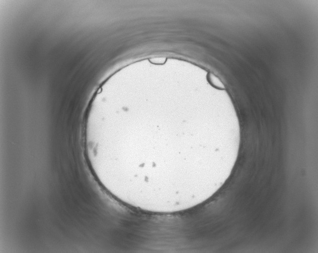 X0000063521526200602172200