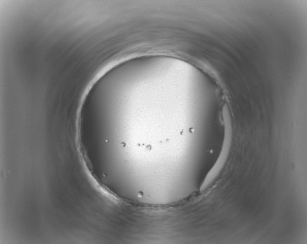 X0000063521528200602172200