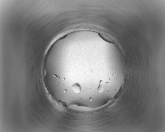 X0000063521530200602172200