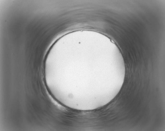 X0000063521531200602172200