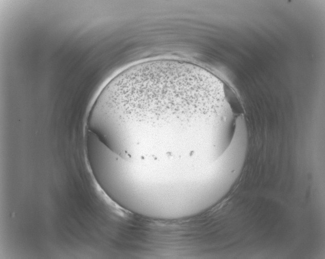 X0000063521532200602172200