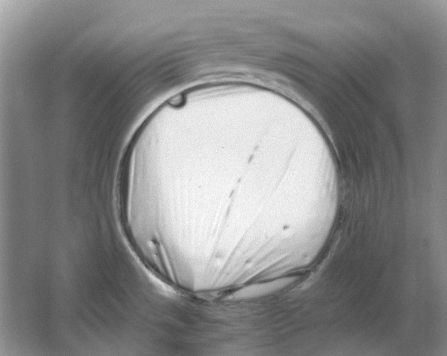 X0000063521533200602172200