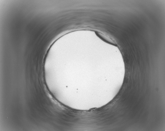 X0000063521534200602172200