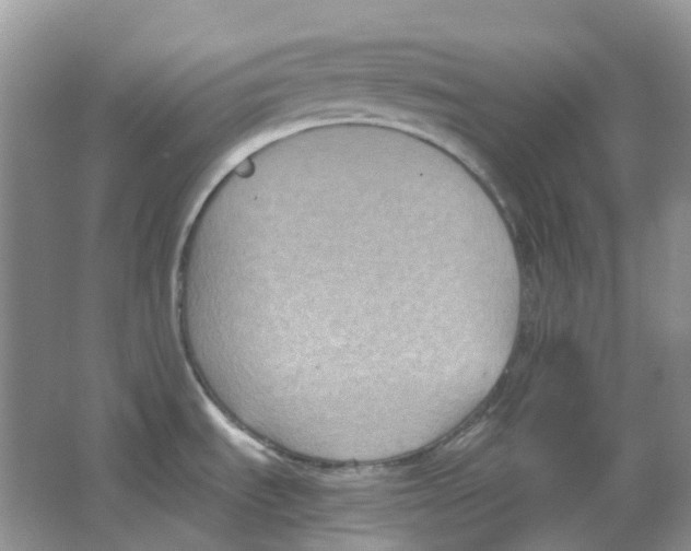 X0000063521535200602172200