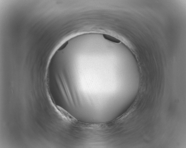 X0000063521536200602172200